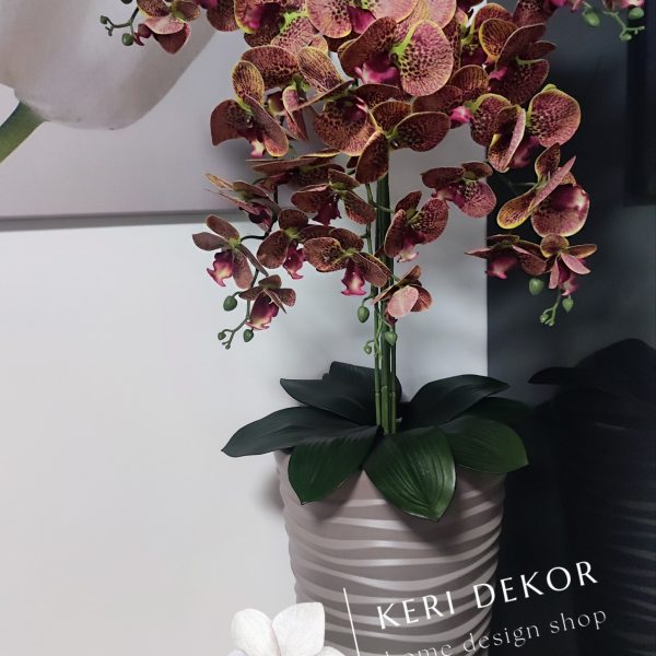 Barna vízhullámos kaspó 5 ágú sárgászöld szélű real touch orchideával  kb 110cm