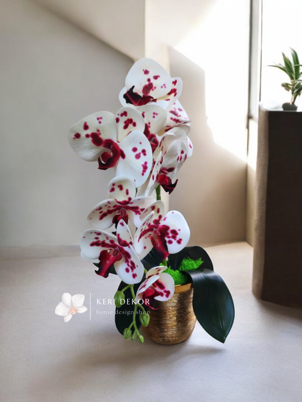 Gondozásmentes orchidea real touch real touch orchidea művirág műorchidea handmade flowers dekor homedekor homedecor lakberendezés otthondekor dekoráció ajándék buxus asztaldísz kopogtató ajtódísz ünnep karácsony húsvét anyáknapja születésnap névnap Keridekor