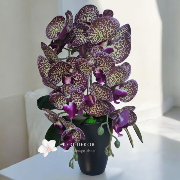 Antracit kaspós lila pöttyös real touch orchidea ( 2 ágú ) (egyedi rendelésre, bármilyen orchideával kérhető)