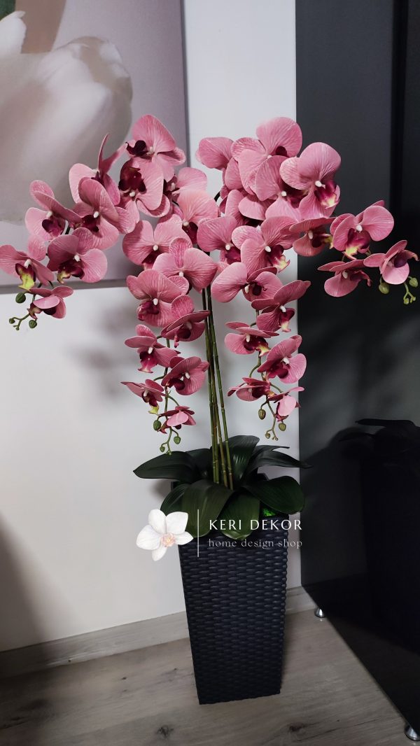 Gondozásmentes orchidea real touch real touch orchidea művirág műorchidea handmade flowers dekor homedekor homedecor lakberendezés otthondekor dekoráció ajándék buxus asztaldísz kopogtató ajtódísz ünnep karácsony húsvét anyáknapja születésnap névnap Keridekor