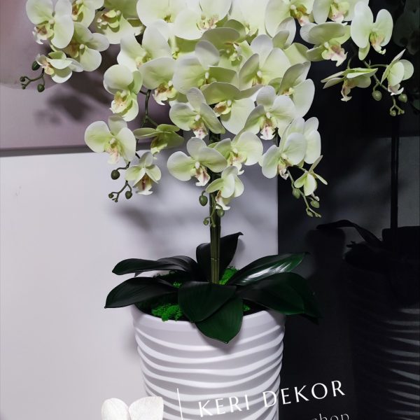 Fehér vízhullámos kaspó halványsárga 5 ágú orchidea kb 110 cm