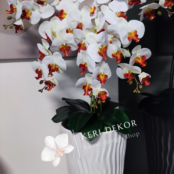 Fehér hullámos kaspó fehér-naracsbibés 5 ágú orchidea kb 110 cm