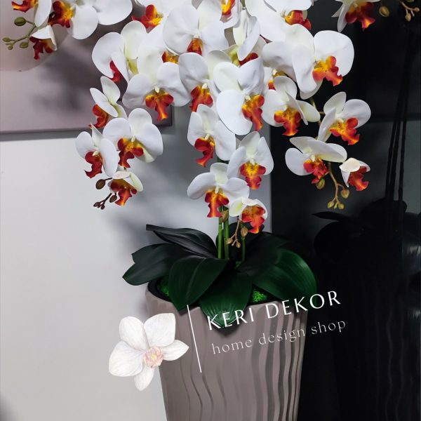 Barna hullámos kaspó fehér-narancsbibés 5 ágú orchidea kb 110 cm