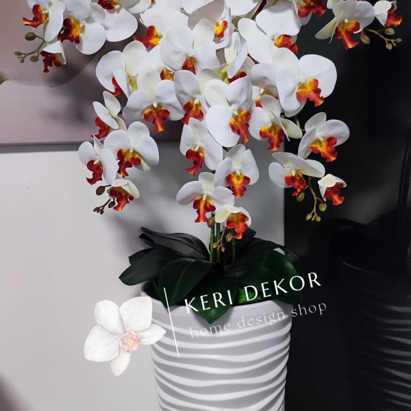 Fehér vízhullámos kaspó fehér-narancsbibés 5 ágú orchidea kb 110 cm