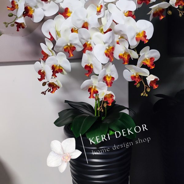 Antracit vízhullámos kaspó fehér-naracsbibés 5 ágú orchidea kb 110 cm